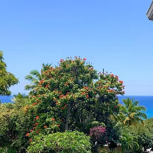 Apartment A Little Aloha, Kailua-Kona